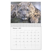 Calendrier des Grands Félins (Feb 2027)
