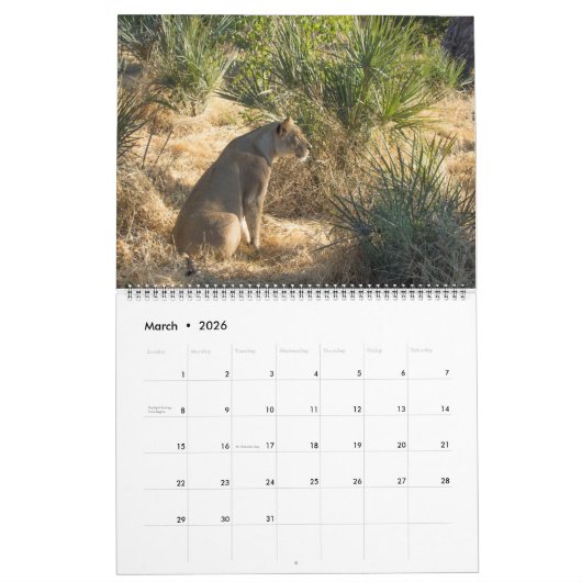 CALENDRIER DES GRANDS FÉLINS ET DE LEURS PETITS (Mar 2026)