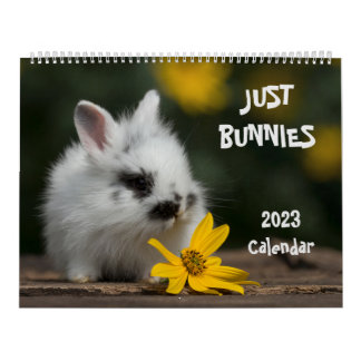 Calendrier des grands murs