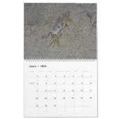 Calendrier des grands murs de l'île Pawleys (conce (Mar 2026)