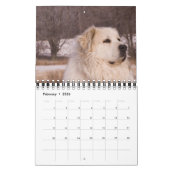 Calendrier des Grands Pyrénées (Feb 2026)