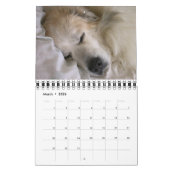 Calendrier des Grands Pyrénées (Mar 2026)