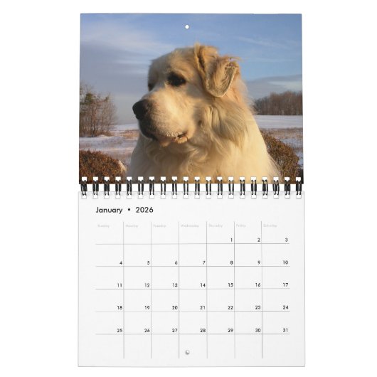 Calendrier des Grands Pyrénées (Jan 2026)