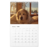 Calendrier des Grands Pyrénées (Jan 2026)