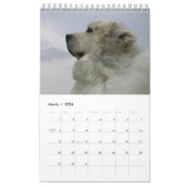 Calendrier des Grands Pyrénées (Mar 2026)