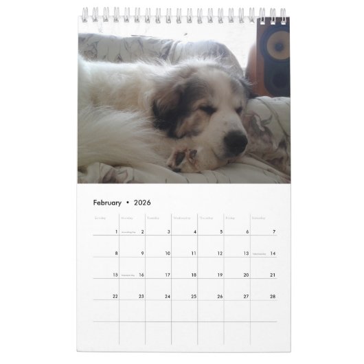 Calendrier des Grands Pyrénées (Feb 2026)