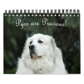 Calendrier des Grands Pyrénées (Protection)