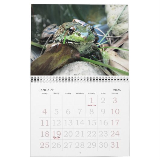 Calendrier des grenouilles 2015 (Jan 2026)