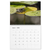 Calendrier des grenouilles 2025 (Mar 2026)