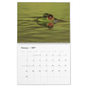 Calendrier des grenouilles 2025 (Feb 2027)