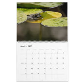 Calendrier des grenouilles 2025 (Mar 2027)