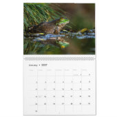 Calendrier des grenouilles 2025 (Jan 2027)