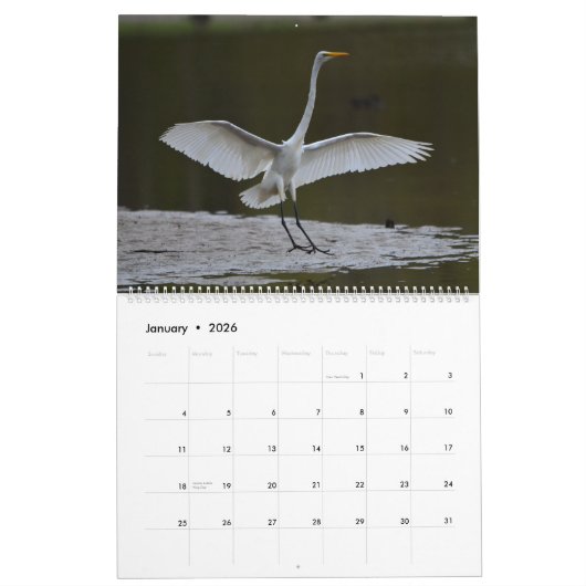 Calendrier des hérons blancs 2020 (Jan 2026)