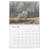 Calendrier des hibou 2026 (Jan 2026)