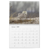 Calendrier des hibou 2026 (Jan 2027)