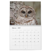 Calendrier des hibou 2026 (Feb 2027)