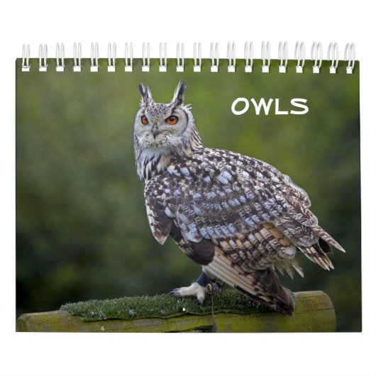 Calendrier des Hiboux (Protection)