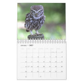 Calendrier des Hiboux (Jan 2027)