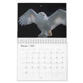 Calendrier des Hiboux (Feb 2027)
