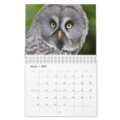 Calendrier des Hiboux (Mar 2027)