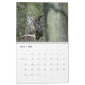 Calendrier des hiboux 2016 (Mar 2026)