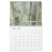 Calendrier des hiboux 2016 (Jan 2027)