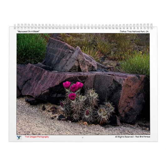 Calendrier des images de piste (Protection)