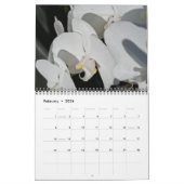 Calendrier des images positives (Feb 2026)