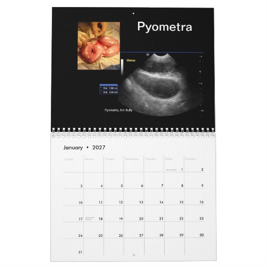Calendrier des images ultrasoniques (Jan 2027)