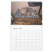 Calendrier des inondations de Sleuth o' (Feb 2027)