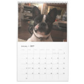 Calendrier des inondations de Sleuth o' (Jan 2027)