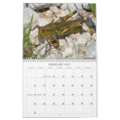 Calendrier des insectes (Feb 2027)