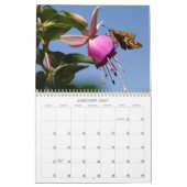 Calendrier des insectes (Jan 2027)