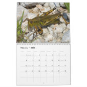 Calendrier des insectes 2013 (Feb 2026)
