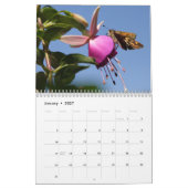 Calendrier des insectes 2013 (Jan 2027)