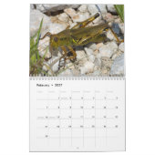 Calendrier des insectes 2013 (Feb 2027)