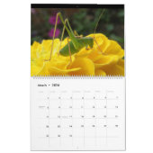 Calendrier des insectes 2014 (Mar 2026)