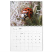 Calendrier des insectes 2014 (Feb 2027)
