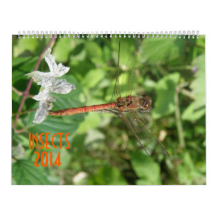 Calendrier des insectes 2014