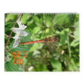 Calendrier des insectes 2015 (Protection)