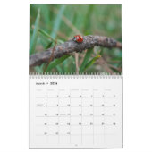 Calendrier des insectes de jardin 2023 (Mar 2026)