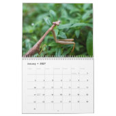 Calendrier des insectes de jardin 2023 (Jan 2027)