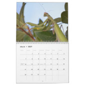 Calendrier des insectes et reptiles 2026 (Mar 2027)