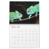Calendrier des insectes et reptiles 2026 (Feb 2027)