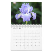 Calendrier des iris 2016 (Jan 2026)