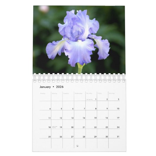 Calendrier des iris 2016 (Jan 2026)