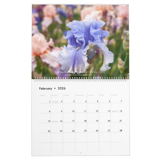 Calendrier des Irises Haut Portés pour 2021 (Feb 2026)