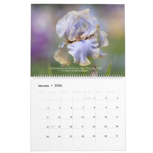 Calendrier des Irises Haut Portés pour 2021 (Jan 2026)