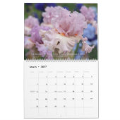 Calendrier des Irises Haut Portés pour 2021 (Mar 2027)