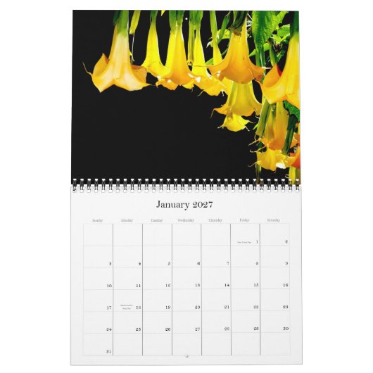 Calendrier des jardins de Dave 2012 (Jan 2027)